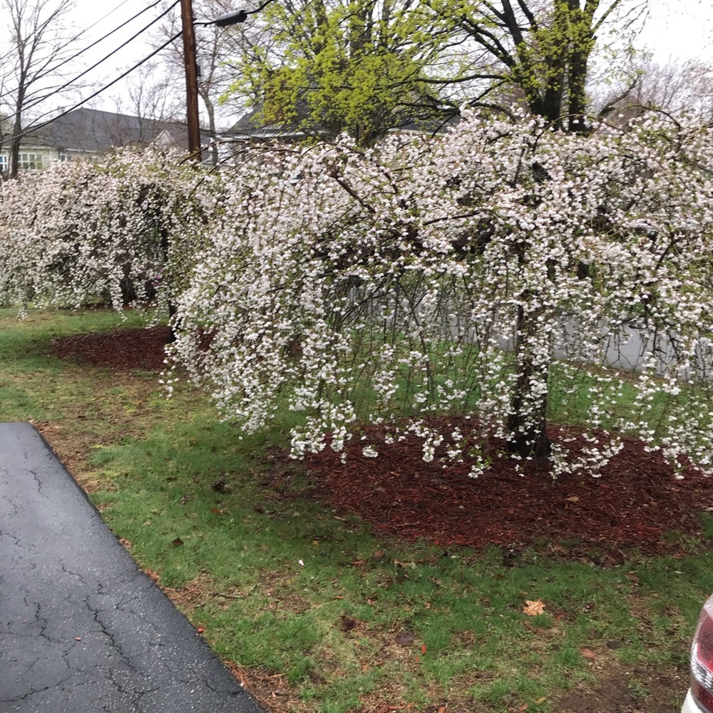 Meet your Posher, Cassanna